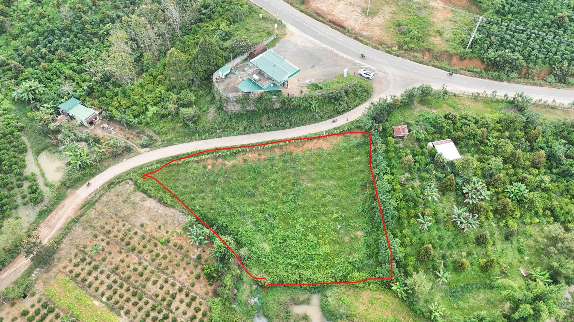 Cần bán gấp bán nhanh lô đất 210 m2, hướng Đông tại Di Linh - Lâm Đồng, giá 450 tr