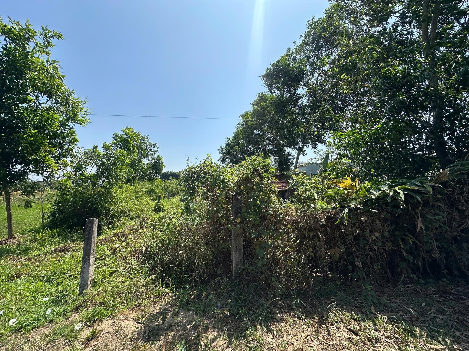 Sở hữu ngay nền đất 341 m2, hướng Tây tại Tân Hải - La Gi - Bình Thuận, giá 800 tr