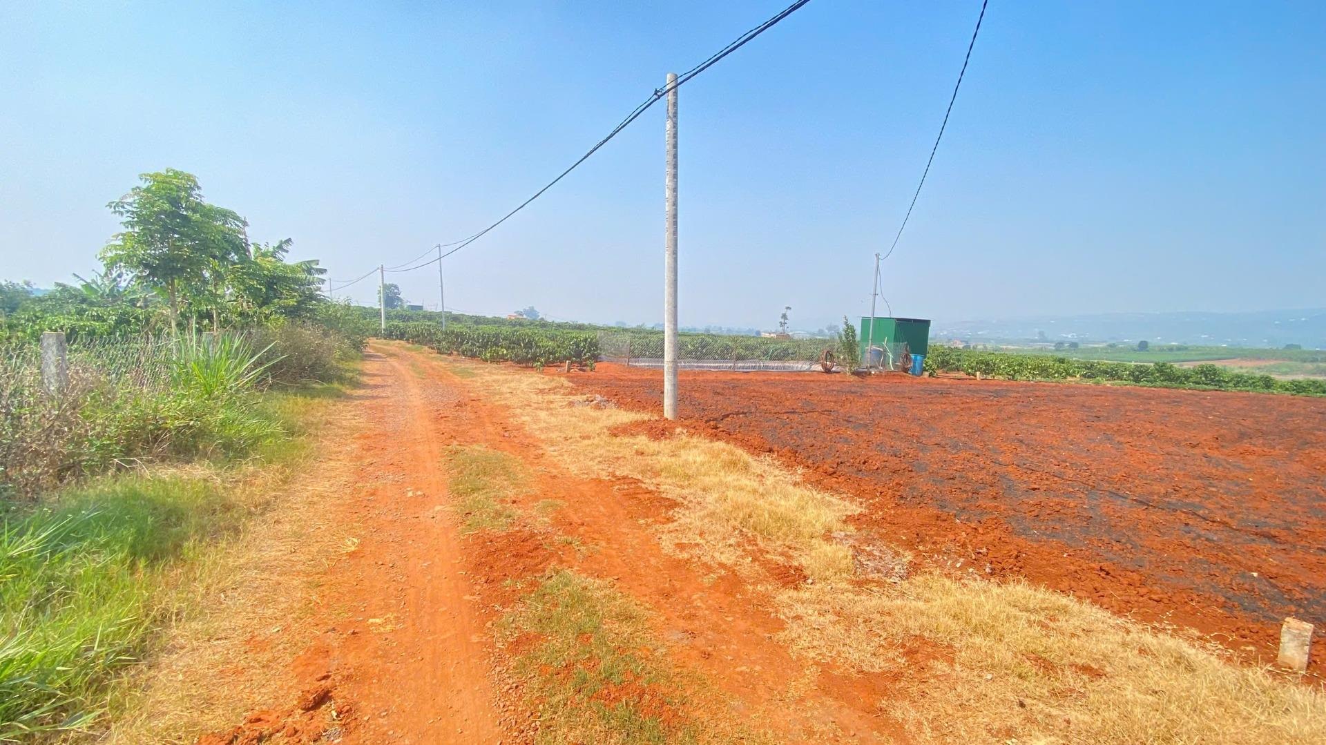 Cần bán lô đất nền 3600 m2 tại Đường ĐT 724 - Tân Hội - Đức Trọng - Lâm Đồng, giá 3 tỷ