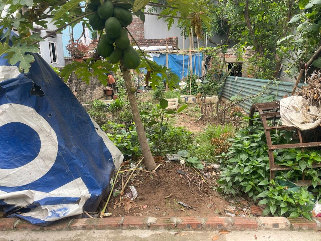 Cần bán nhanh đất 55 m2 tại Xã Bắc Hồng - Đông Anh - Hà Nội, giá rẻ