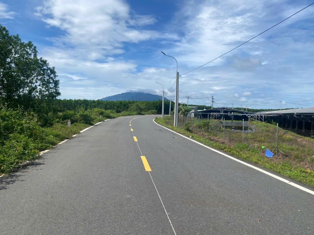 Bán gấp nền đất 6006 m2 tại Xã Xuân Trường - Xuân Lộc - Đồng Nai, giá 3,9 tỷ