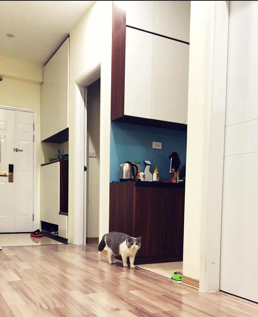 Cần bán nhanh căn 70 m2, giá 4,45 tỷ tại Xã An Khánh - Hoài Đức - Hà Nội