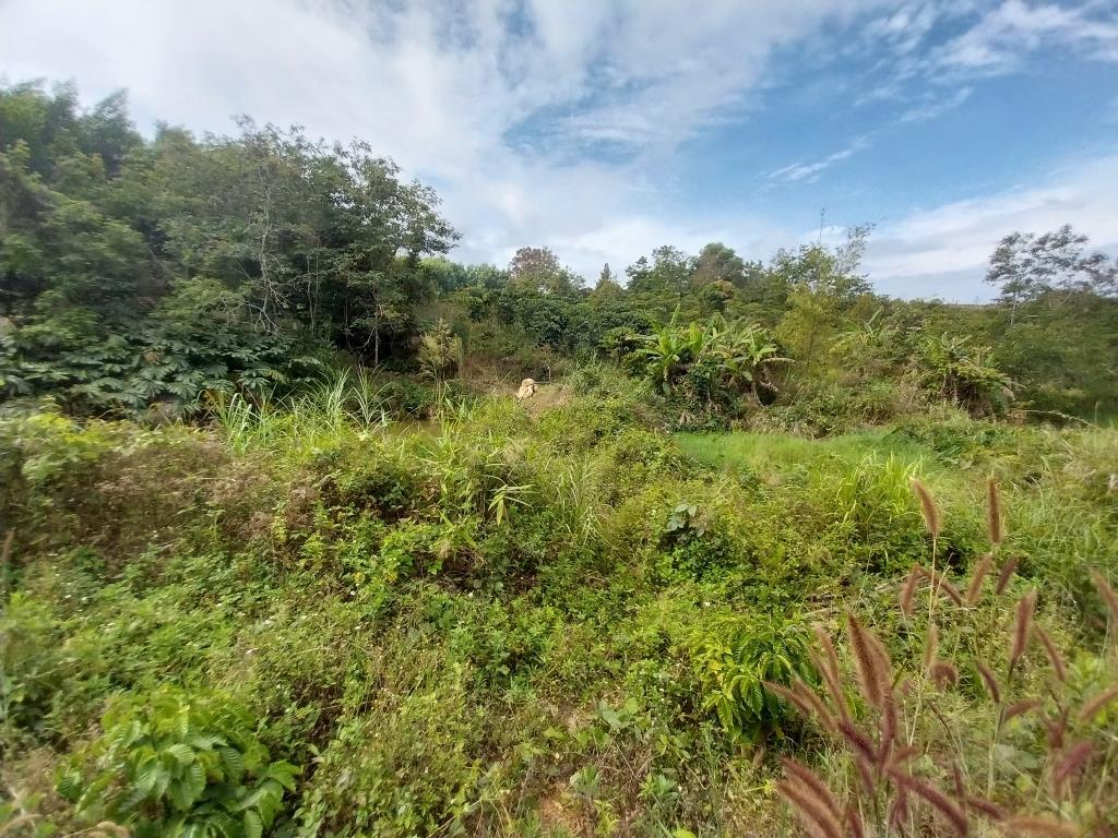 Bán gấp nền đất 9600 m2 tại Xã Gia Bắc - Di Linh - Lâm Đồng, giá rẻ