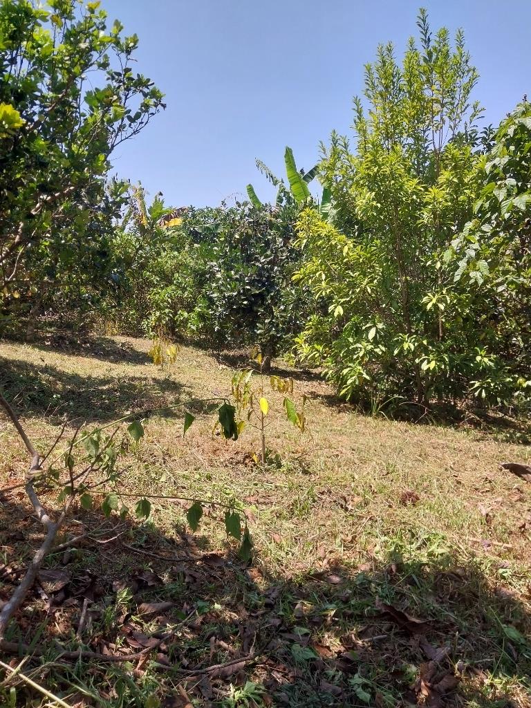 Bán gấp nền đất 9600 m2 tại Xã Gia Bắc - Di Linh - Lâm Đồng, giá rẻ