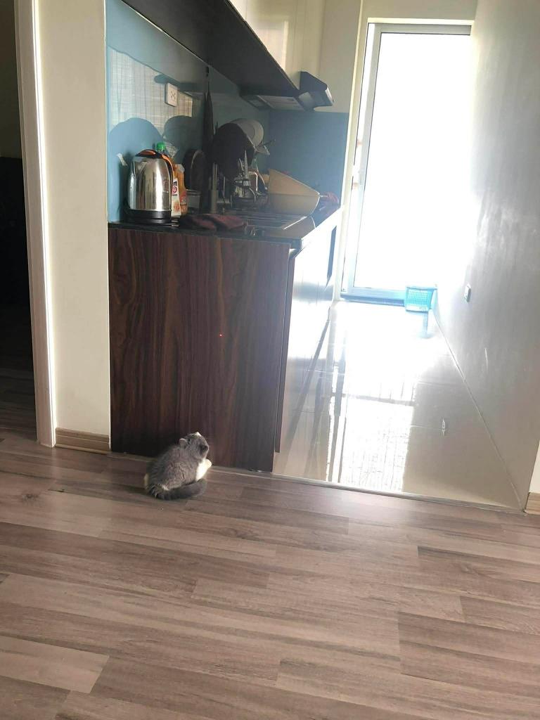 Cần bán nhanh căn 70 m2, giá 4,45 tỷ tại Xã An Khánh - Hoài Đức - Hà Nội