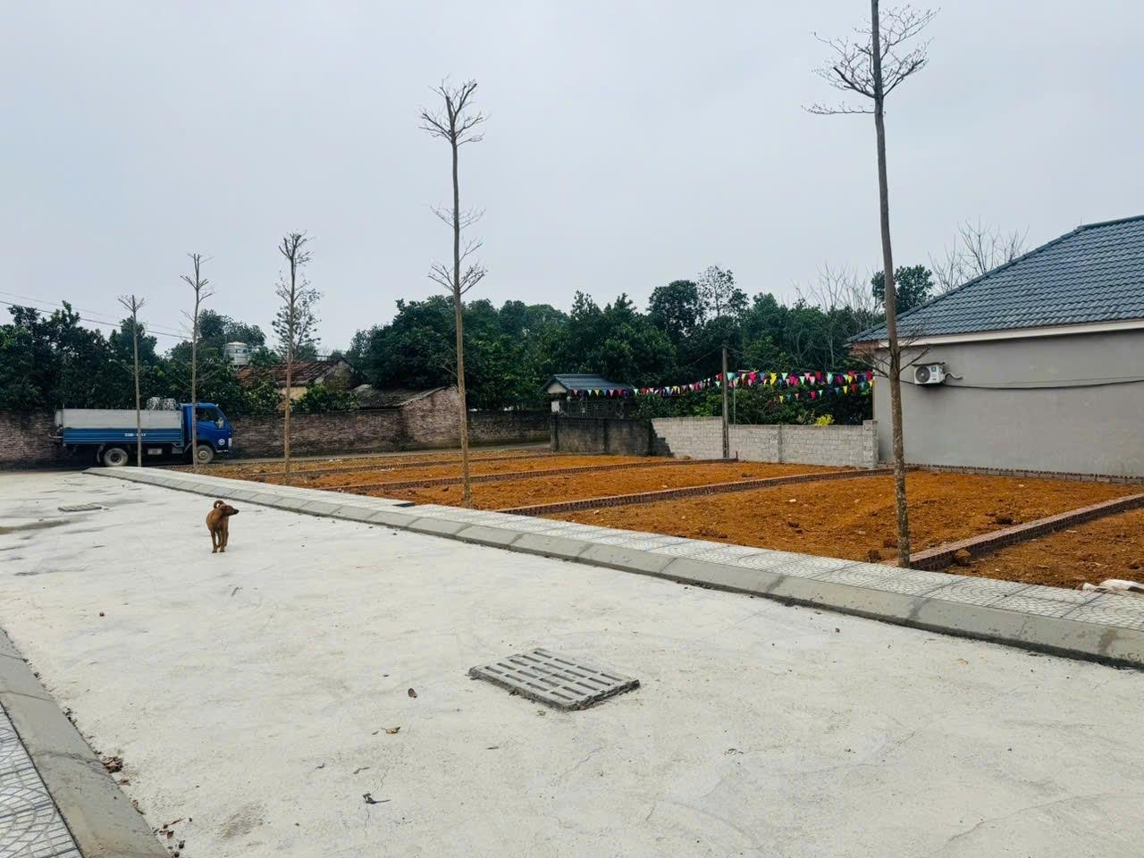 Cần bán nền đất 100 m2 tại Xã Phú Cát - Quốc Oai - Hà Nội, giá 30 tr