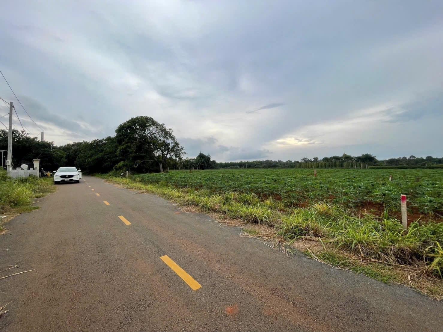 Cần bán ngay mảnh đất 350 m2 tại Xã Phước Thuận - Xuyên Mộc - Bà Rịa Vũng Tàu, giá 9 tỷ