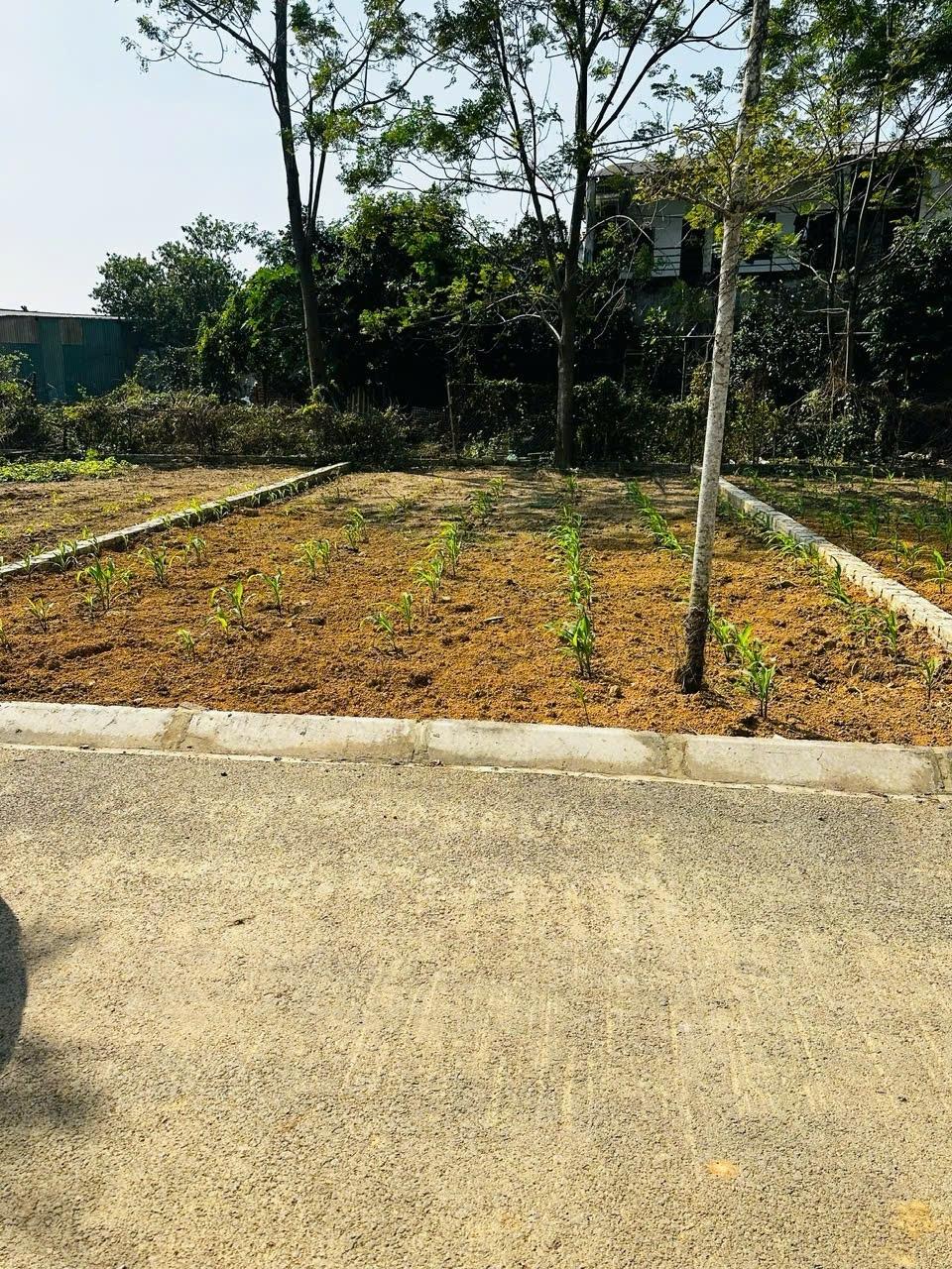 Sở hữu mảnh đất 100 m2 tại Xã Cổ Đông - Sơn Tây - Hà Nội, giá 3 tỷ