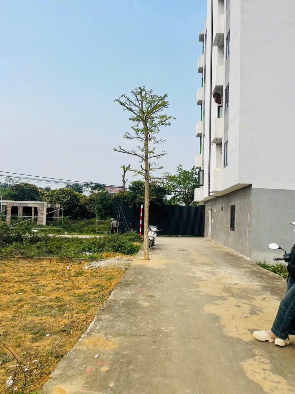 Cần bán mảnh đất 70 m2 tại Đường 21A - Đông Yên - Quốc Oai - Hà Nội, giá 2,5 tỷ