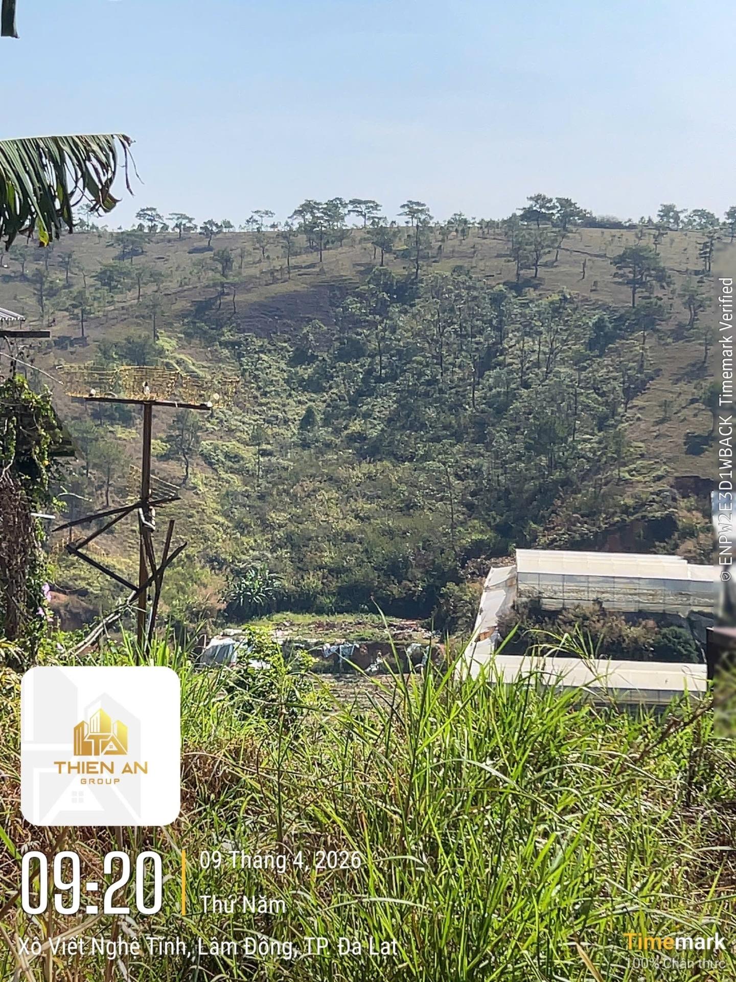 Bán đất 808 m2, hướng Tây-Nam tại Phường 7 - Đà Lạt - Lâm Đồng, giá 14,5 tỷ