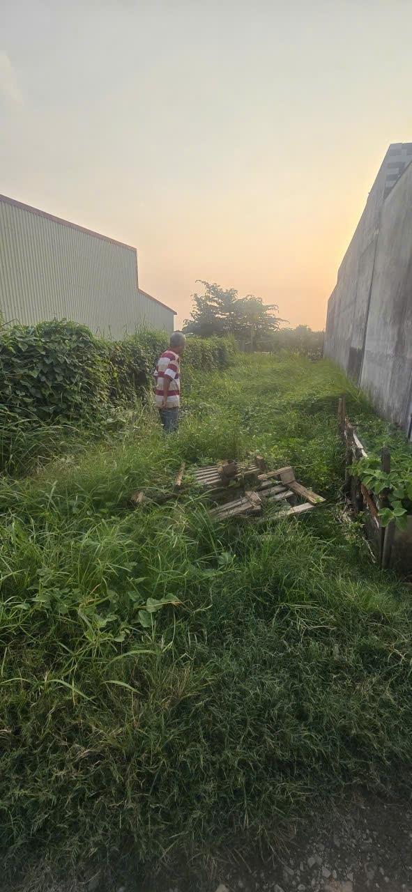 Cần bán gấp bán nhanh đất 113 m2 tại Xã Mỹ Yên - Bến Lức - Long An, giá 1,9 tỷ