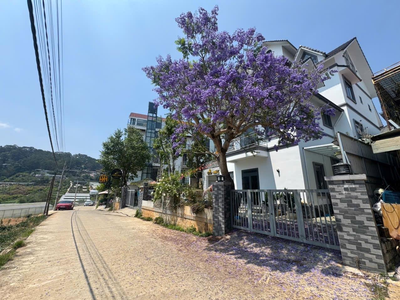 Cần bán gấp đất nền 274,79998779296875 m2 tại 11 - Đà Lạt - Lâm Đồng, giá 8 tỷ