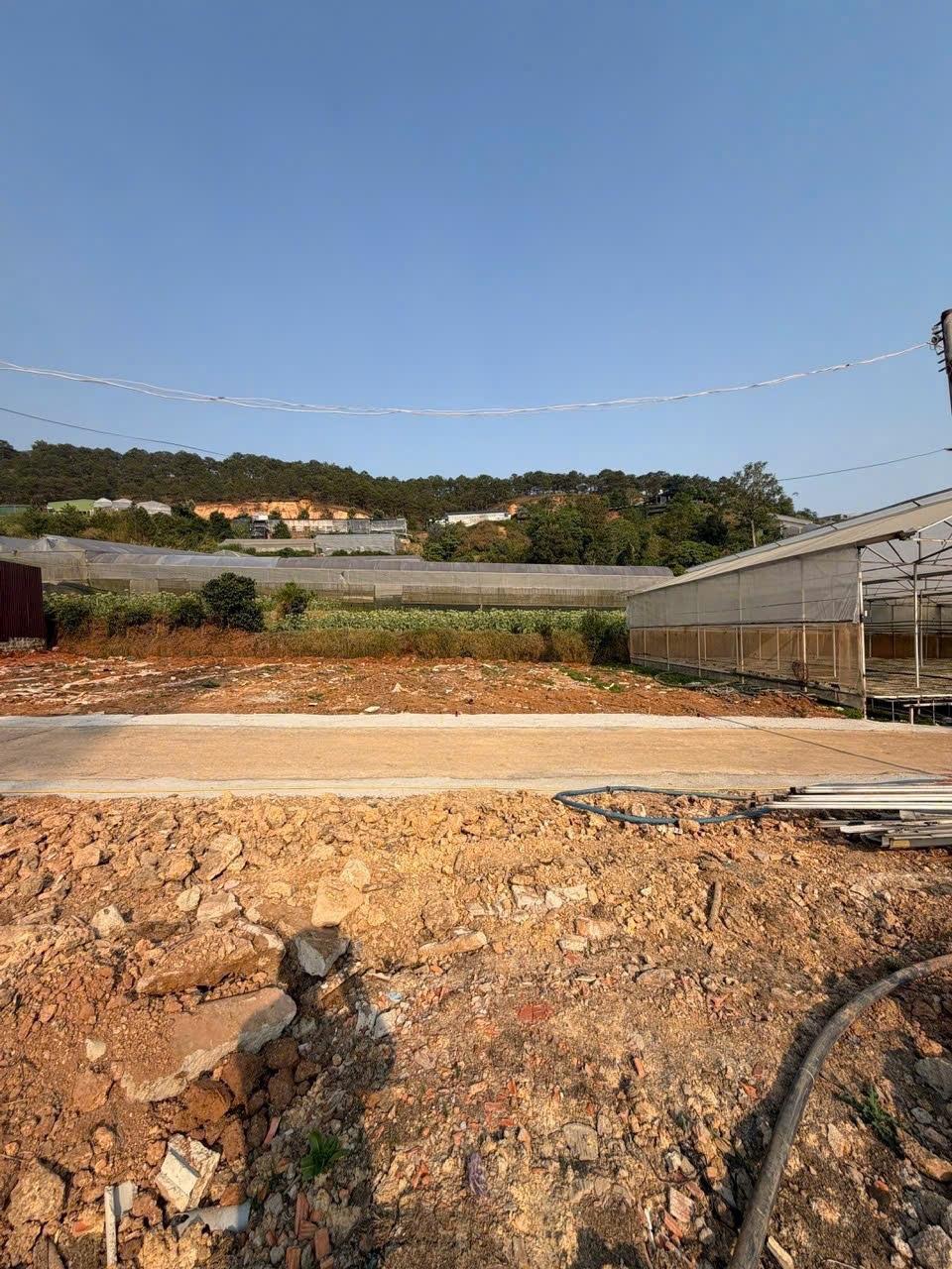 Chuyển nhượng lô đất nền 203 m2 tại Đường Thái Phiên - Đà Lạt - Lâm Đồng, giá 3,8 tỷ