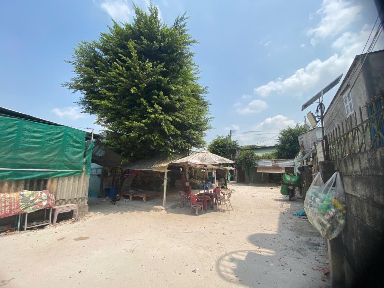 Cho Thuê Đất Gần Chợ Lái Thiêu  - Thuận An – Vị Trí Đẹp, Giá Tốt