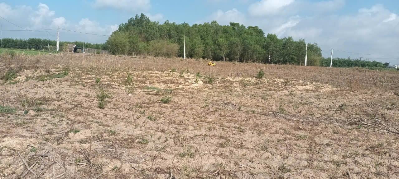 Cần bán ngay lô đất 1050 m2, hướng Tây-Bắc tại Đất Đỏ - Bà Rịa Vũng Tàu, giá 1,05 tỷ