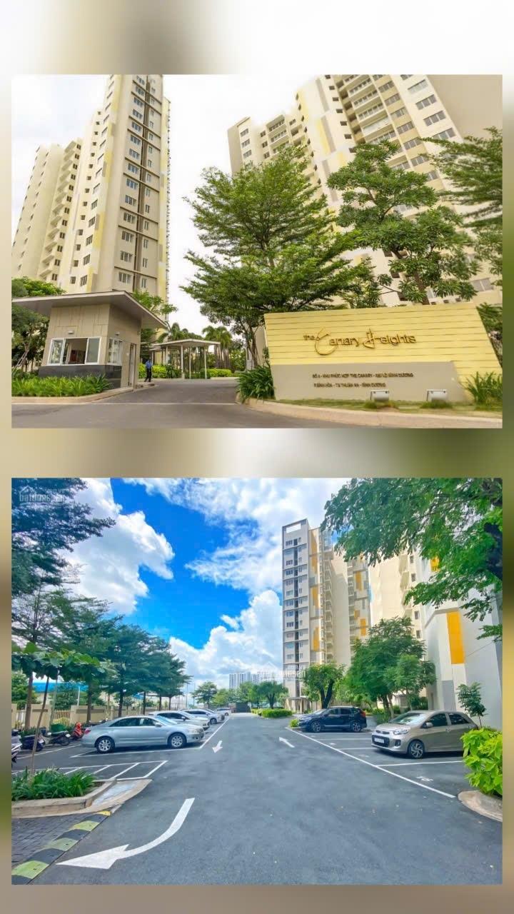 Cho thuê gấp căn 89 m2 tại Đường Đại Lộ Bình Dương - Bình Hòa - Thuận An - Bình Dương, giá rẻ