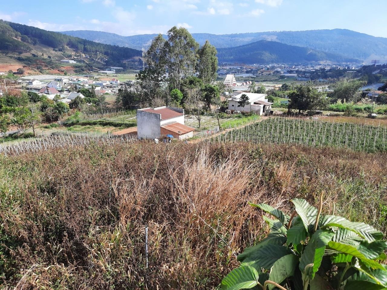 Cần bán ngay miếng đất 750 m2 tại Thành phố Đà Lạt - Lâm Đồng, giá 3,1 tỷ