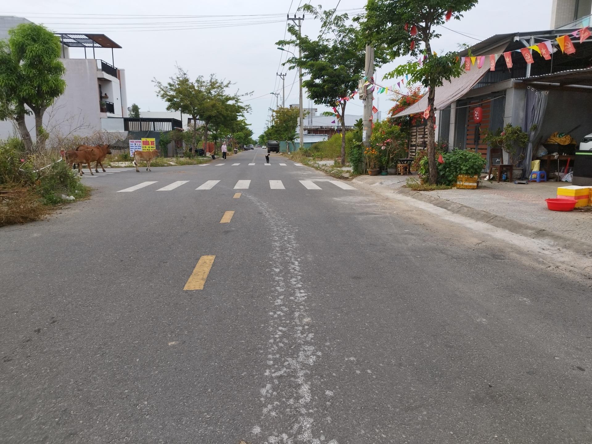 Cần bán nền đất 124 m2 tại Phường Hòa Quý - Ngũ Hành Sơn - Đà Nẵng, giá 6 tỷ