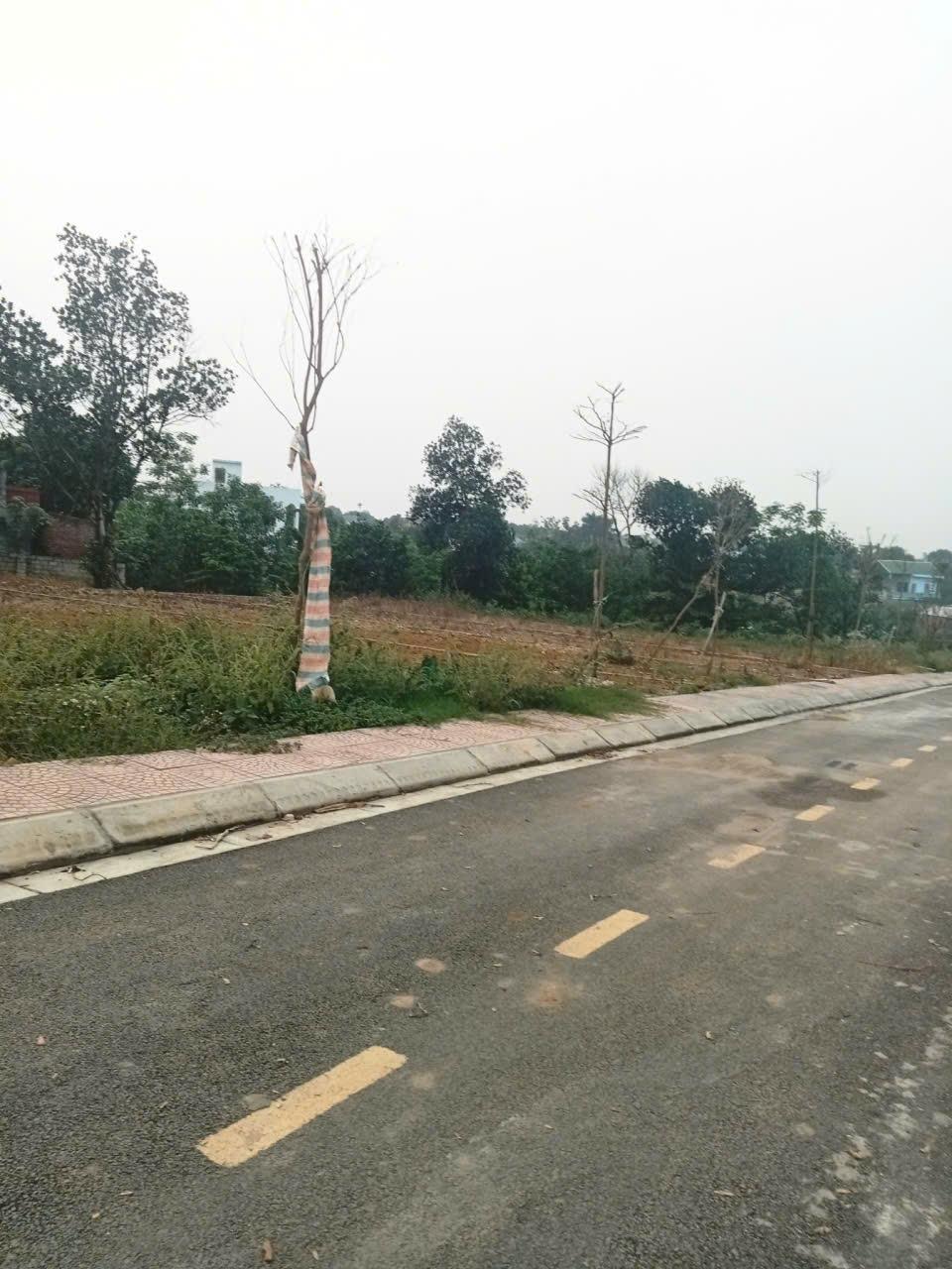 Cần bán gấp nền đất 100 m2 tại Thị xã Sơn Tây - Hà Nội, giá 28 tr