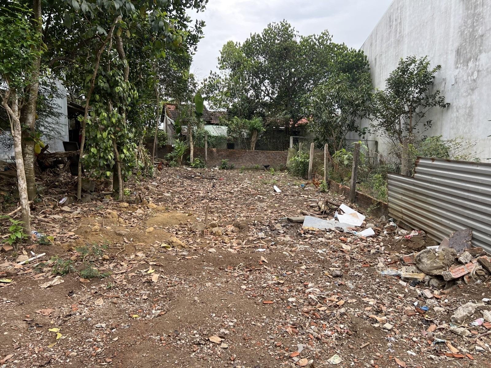 Bán lô đất sổ riêng 100 m2 tại Phường Hòa Thọ Tây - Cẩm Lệ - Đà Nẵng, giá 2,65 tỷ