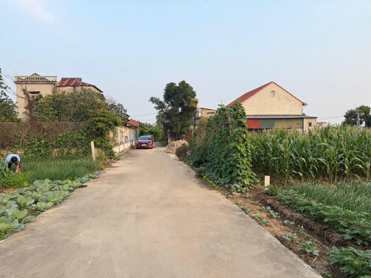 Cần bán ngay mảnh đất 93,30000305175781 m2 tại Xã Trung Chính - Lương Tài - Bắc Ninh, giá 1,8 tỷ