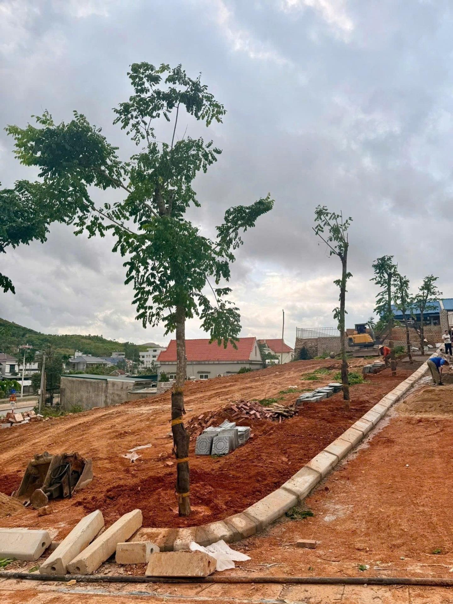 Cần bán gấp bán nhanh đất 75 m2, hướng Tây tại Tuần Châu - Hạ Long - Quảng Ninh, giá 40 triệu