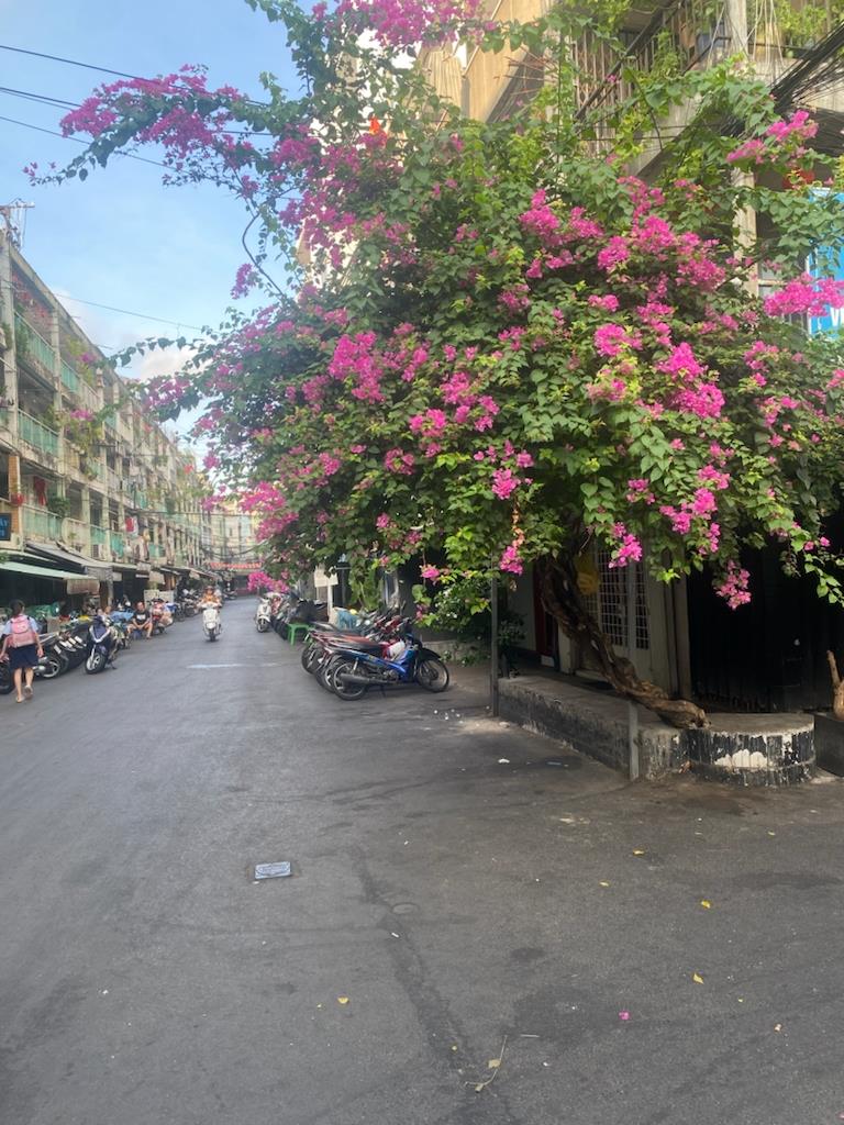 Sở hữu ngay căn nhà mặt phố 36 m2 tại Phố Nguyễn Thiện Thuật - 3 - Quận 3, giá 7,3 tỷ