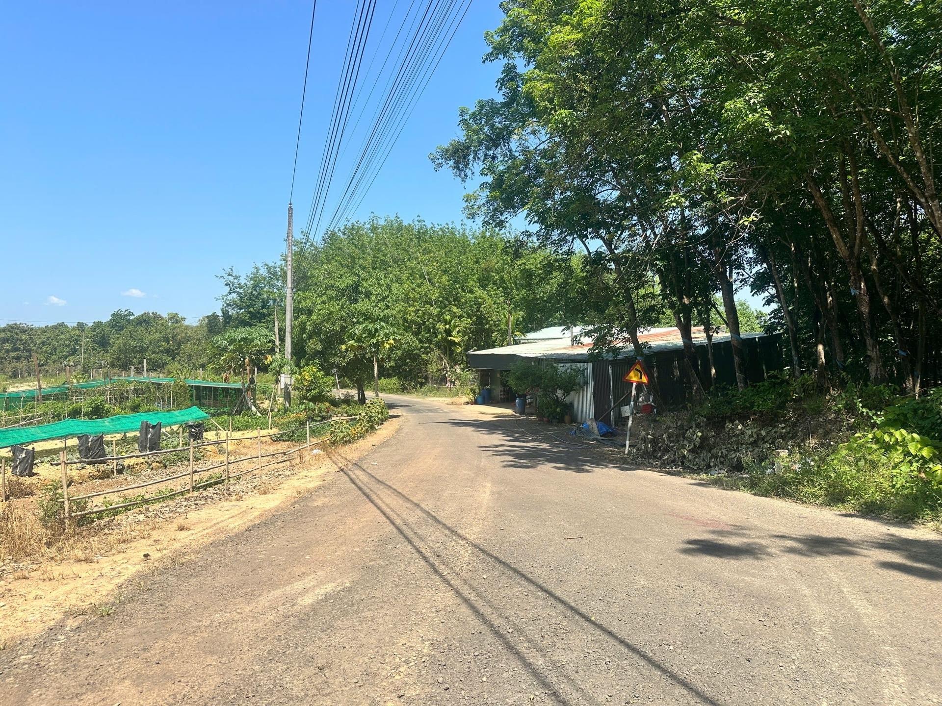Cần bán gấp bán nhanh đất 200 m2 tại Xã Đồng Tâm - Đồng Phú - Bình Phước, giá 250 tr