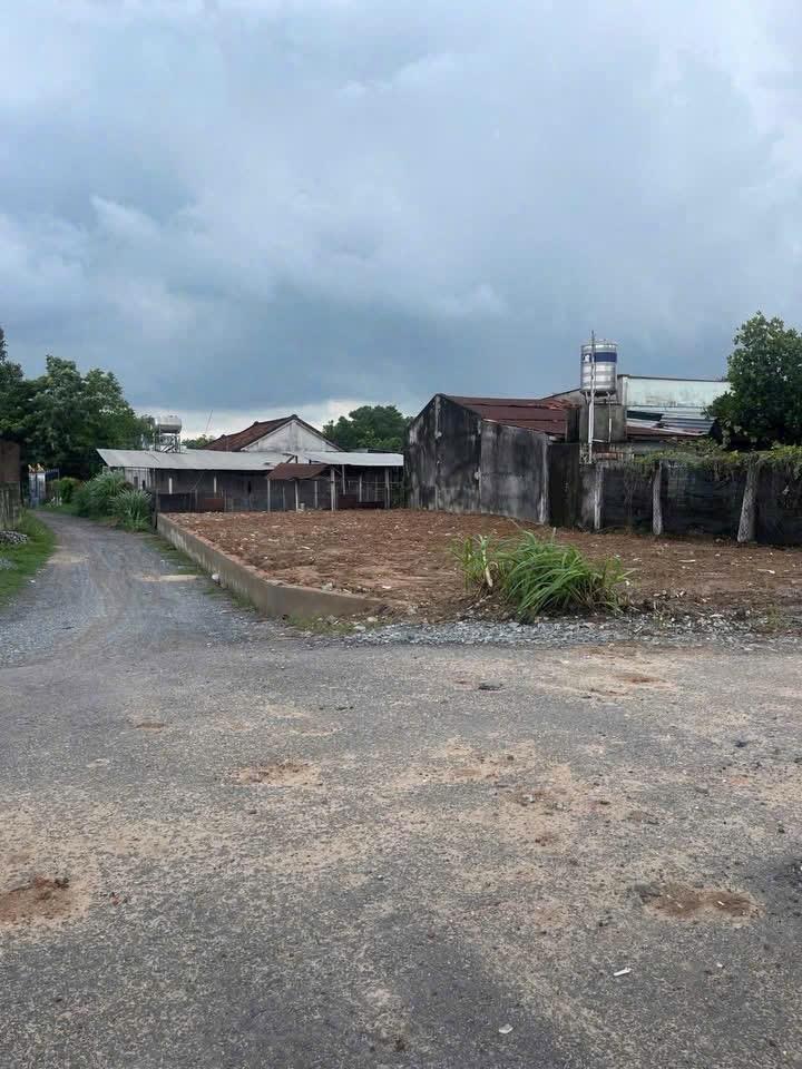 Bán gấp lô đất 253 m2 tại Tân Thạnh Đông - Củ Chi - TP Hồ Chí Minh, giá 2,3 tỷ