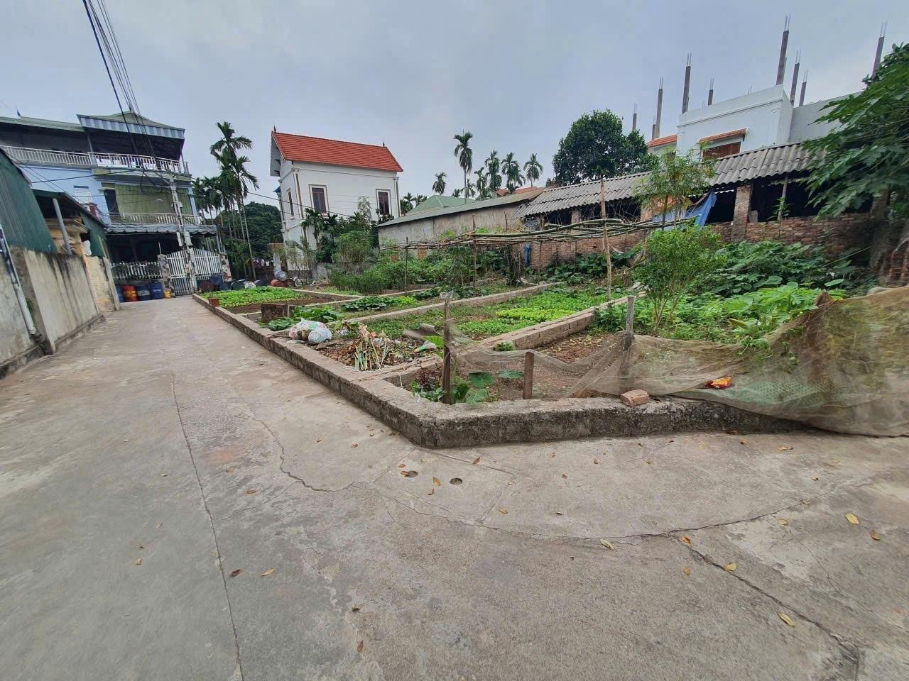 Sở hữu ngay lô đất sổ riêng 48 m2 tại Xã Tả Thanh Oai - Thanh Trì - Hà Nội, giá 1,8 tỷ