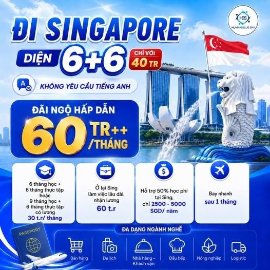 Cần bán căn nhà 47 m2, hướng Nam tại Đường Hoàng Văn Thụ - 4 - Tân Bình - TP Hồ Chí Minh, giá rẻ