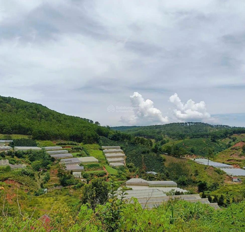 Chuyển nhượng lô đất nền 217 m2 tại Đường Măng Lin - 7 - Đà Lạt - Lâm Đồng, giá tốt