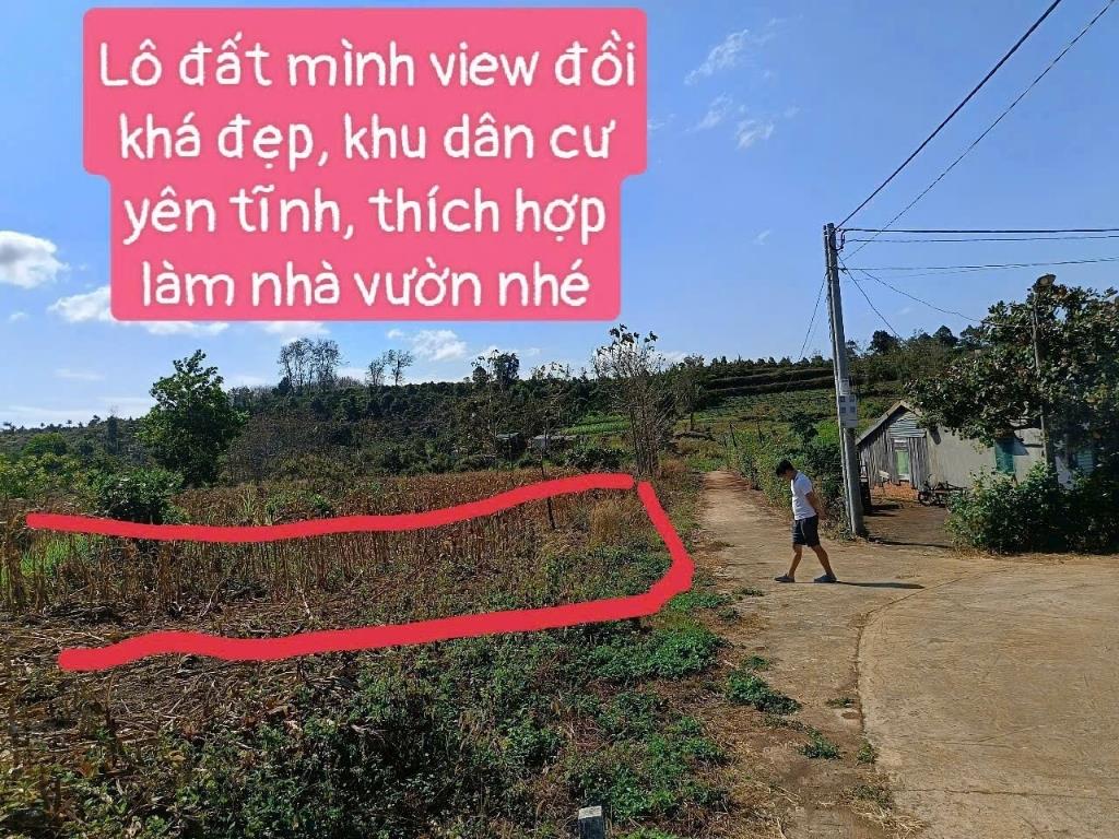 Cần bán gấp bán nhanh miếng đất 338,5 m2, mặt tiền 5m tại Cư M'gar - Đắk Lắk, giá 209 triệu