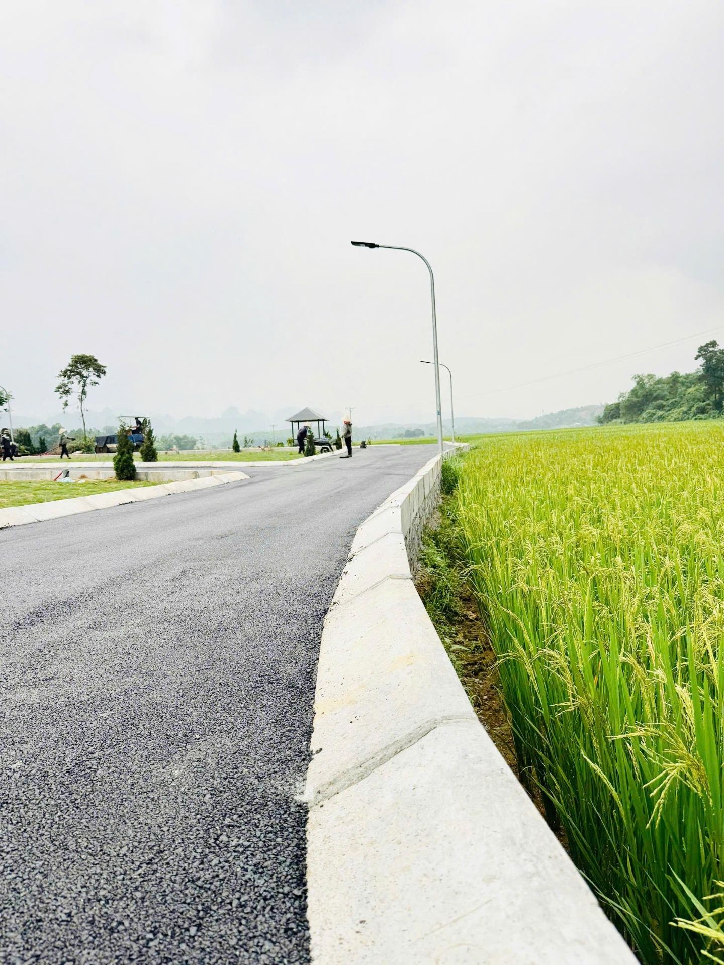 Sở hữu lô đất nền 55 m2, hướng Đông-Bắc tại Huyện Lạc Thủy - Hòa Bình, giá 495 triệu