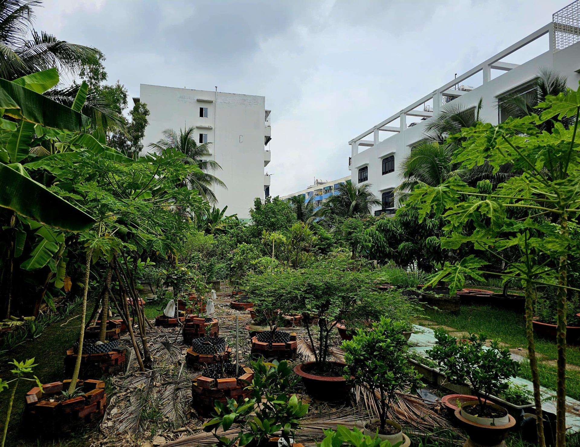 Chuyển nhượng lô đất nền 1977 m2, hướng Đông tại An Lạc - Bình Tân - TP Hồ Chí Minh, giá 180 tỷ