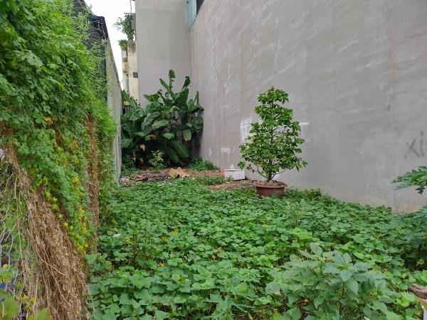 Cần bán mảnh đất 85 m2 tại Phường Trường Thọ - Thủ Đức - TP Hồ Chí Minh, giá 8,2 tỷ
