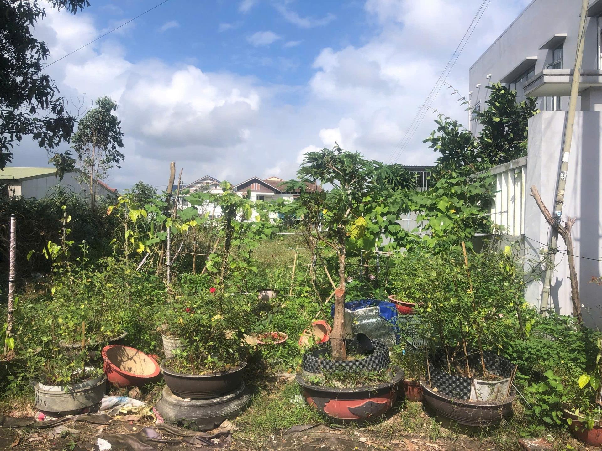 Cần bán gấp bán nhanh miếng đất 200 m2, hướng Đông tại Hương Thủy - Thừa Thiên Huế, thỏa thuận