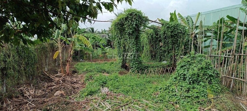 Chuyển nhượng miếng đất 400 m2 tại Xã Bình Mỹ - Củ Chi - TP Hồ Chí Minh, giá 14 tỷ