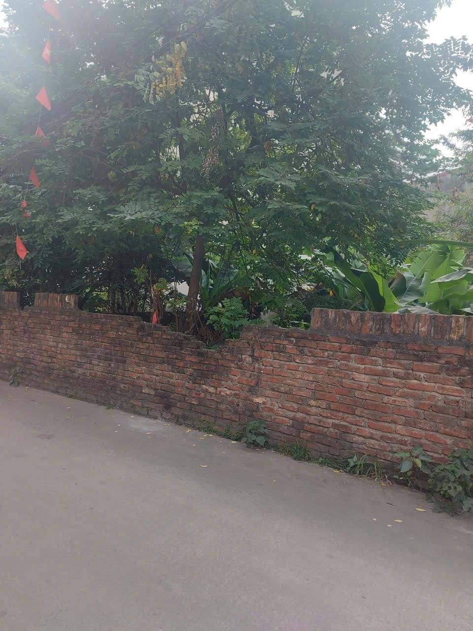 Cần bán gấp lô đất nền 200 m2, hướng Đông-Bắc tại Huyện Đông Anh - Hà Nội, giá 18 tỷ