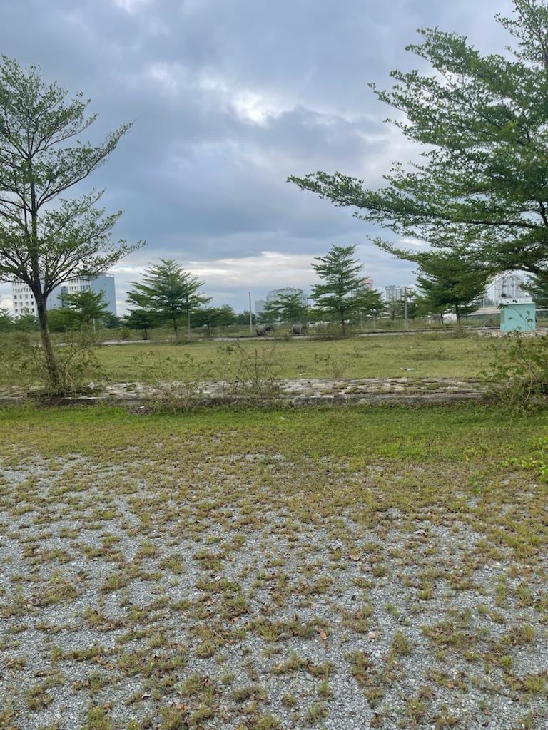 Chuyển nhượng đất 239 m2 tại Xã Điện Ngọc - Điện Bàn - Quảng Nam, giá 4,54 tỷ