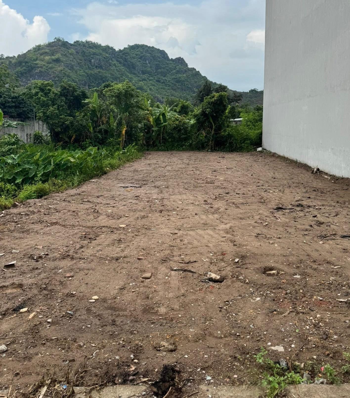 Cần bán gấp mảnh đất 125 m2, hướng Đông-Bắc tại Xã Trường Thành - An Lão - Hải Phòng, giá 3,5 tỷ