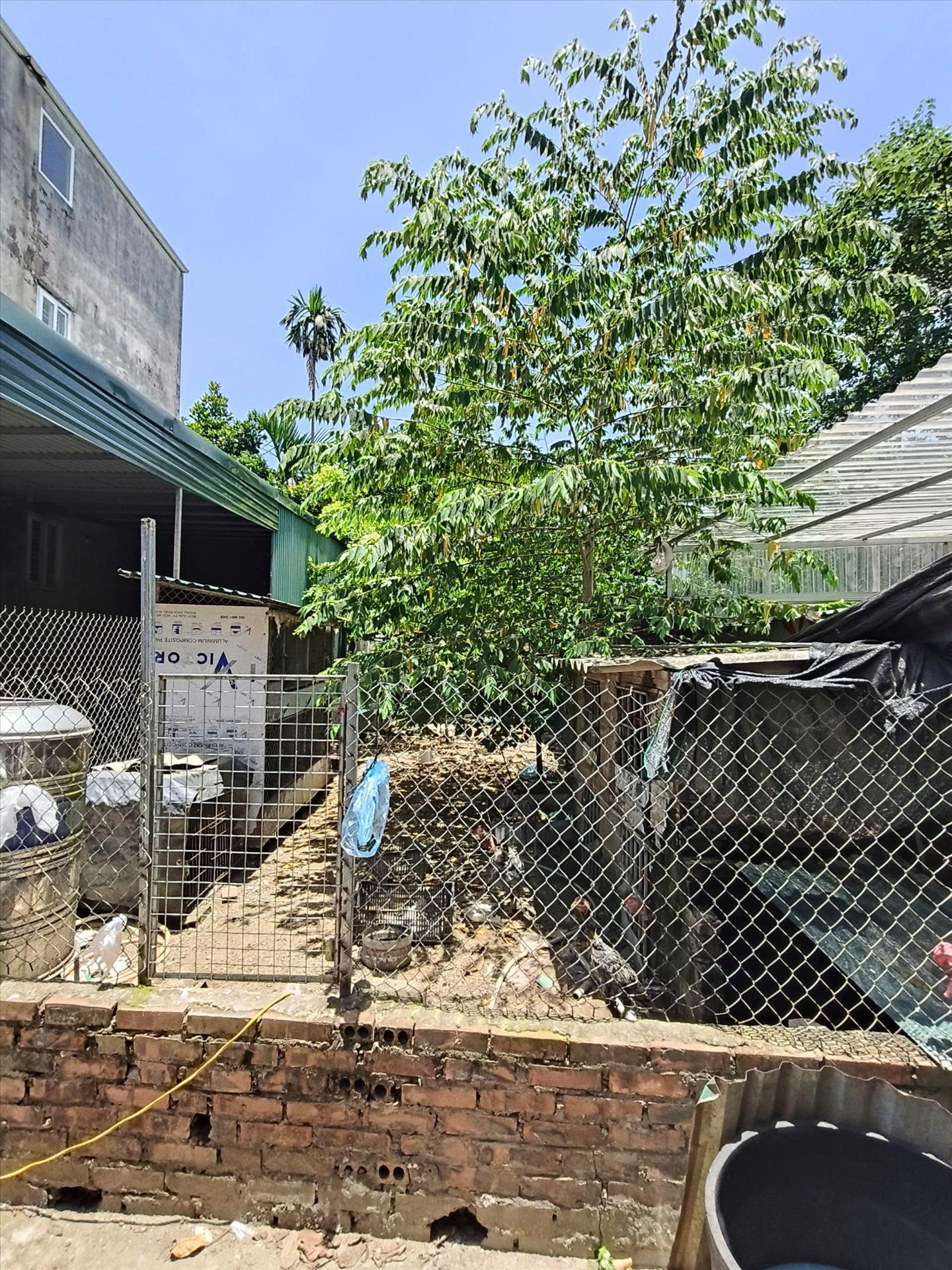 Cần bán ngay lô đất nền 58 m2 tại Phường Biên Giang - Hà Đông - Hà Nội, giá 2,95 tỷ