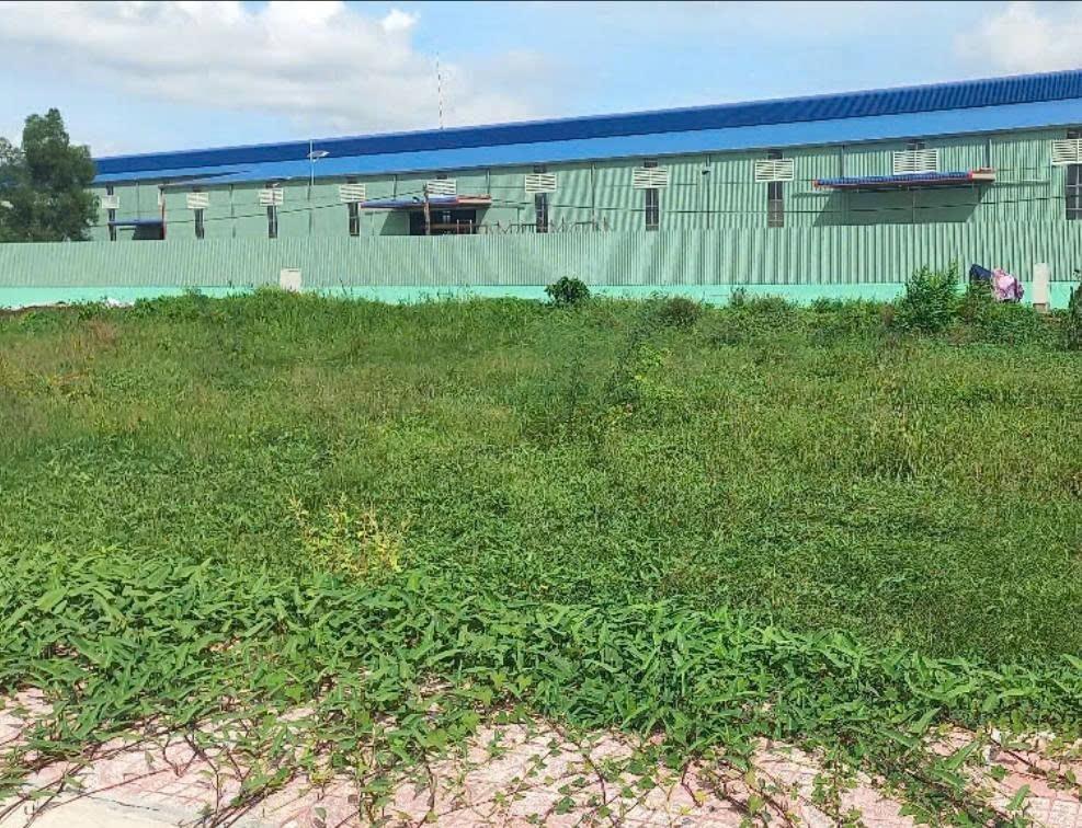 Bán nhanh miếng đất 117 m2 tại Xã Bình Chánh - Bình Chánh - TP Hồ Chí Minh, giá rẻ