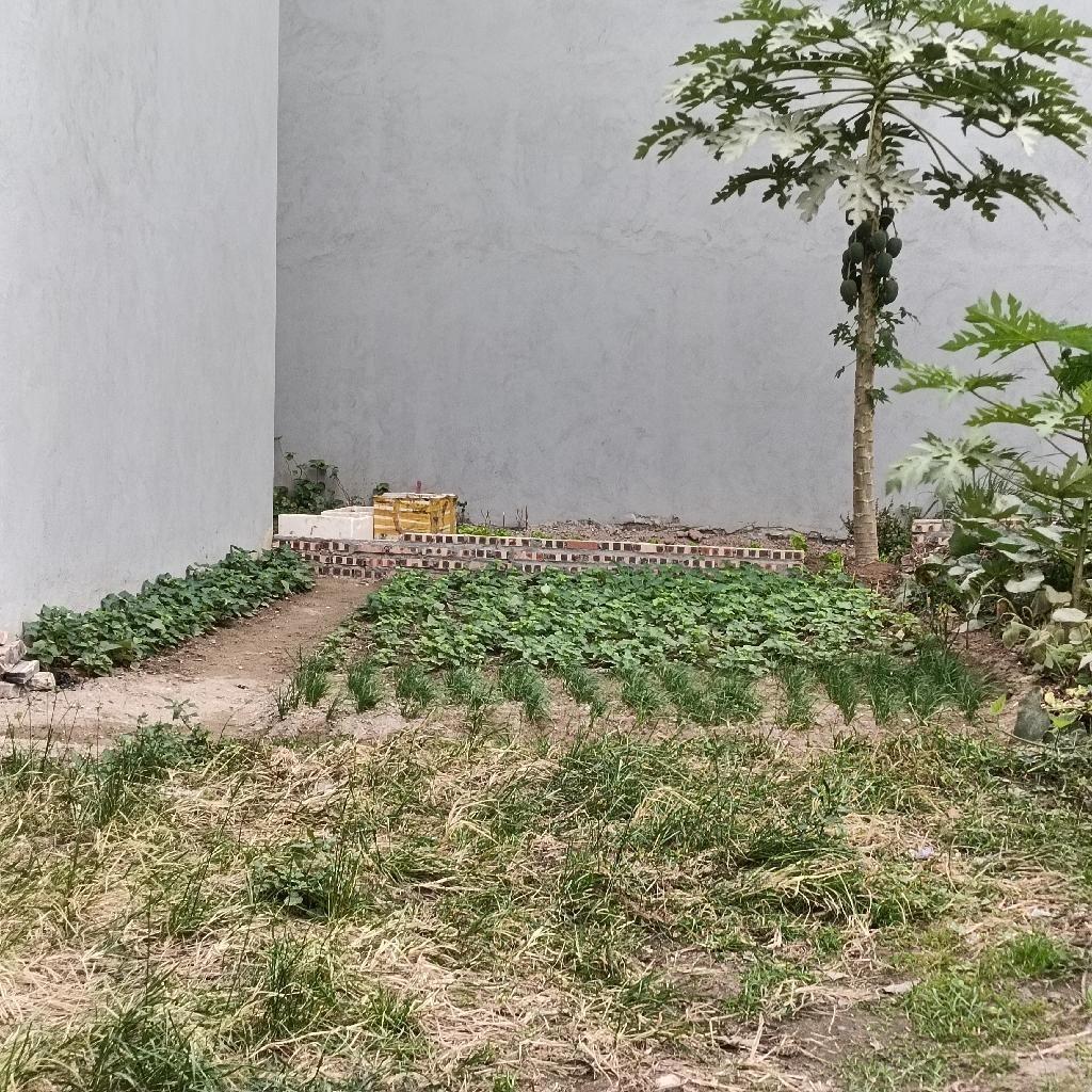 Cần bán ngay lô đất nền 42 m2, mặt tiền 4m tại Xã Bát Tràng - Gia Lâm - Hà Nội, giá 3,55 tỷ