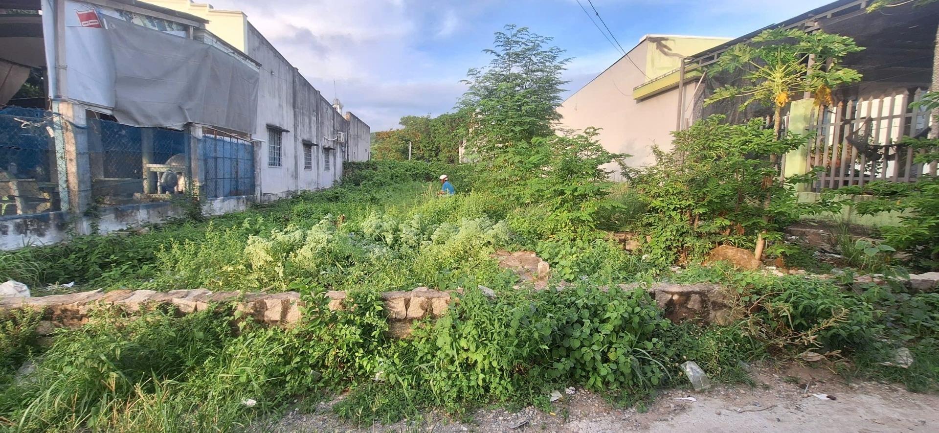 Cần bán ngay đất 120 m2, hướng Tây tại Long Hải - Long Điền - Bà Rịa Vũng Tàu, giá 1,3 tỷ
