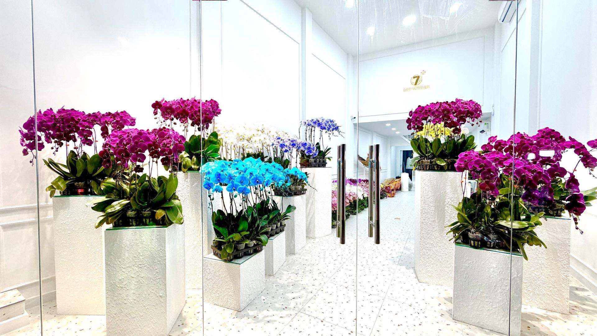 Bán nhà mặt tiền 100 m2 tại Đường Nguyễn Thái Sơn - 3 - Gò Vấp - TP Hồ Chí Minh, giá 25 tỷ
