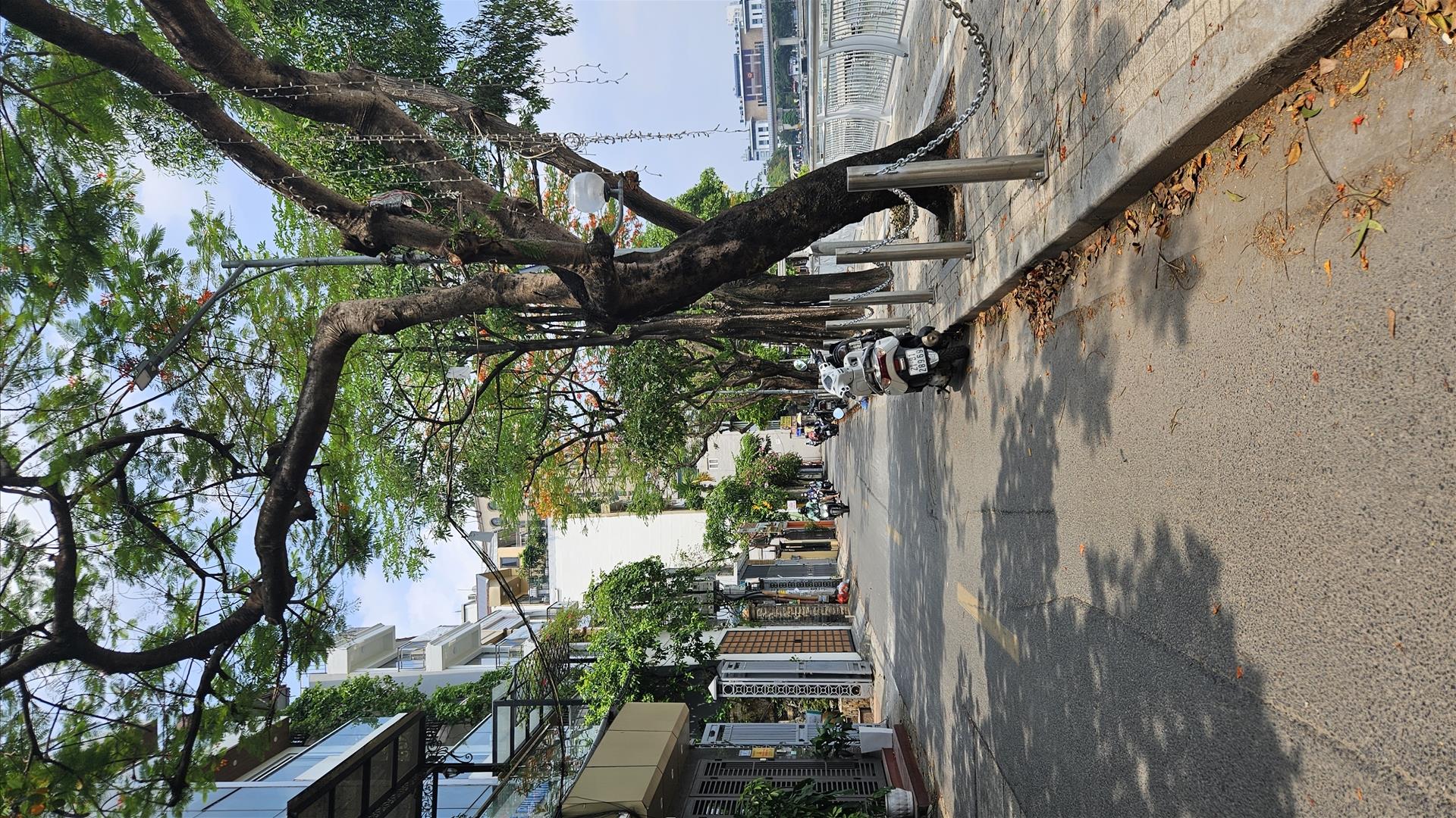 Cần bán ngay nhà riêng sổ đỏ 50 m2 tại Phố Hoàng Cầu - Ô Chợ Dừa - Đống Đa - Hà Nội, giá 22 tỷ