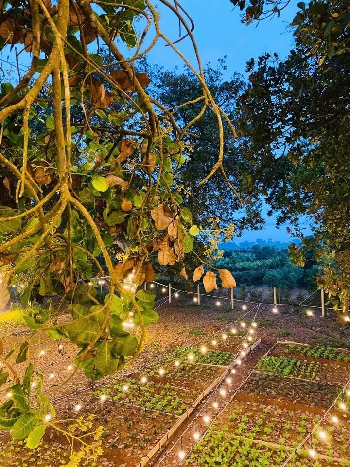 Cần bán gấp bán nhanh mảnh đất 1081 m2 tại Xã Gia Tân 1 - Thống Nhất - Đồng Nai, giá 900 triệu