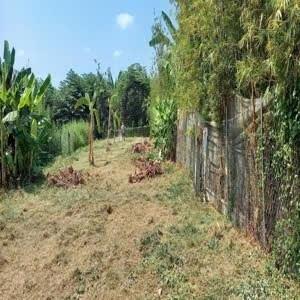 Bán mảnh đất 576 m2, mặt tiền 13m, hướng Đông-Bắc tại 8 - Vĩnh Long - Vĩnh Long, giá 5 tỷ