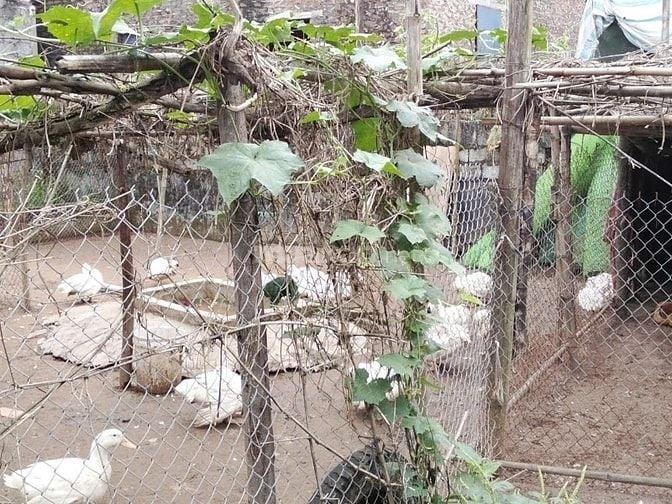 Bán nhanh lô đất nền 129 m2 tại Xã Hùng Cường - Hưng Yên - Hưng Yên, giá 40 tr